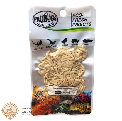 Probugs Riceworms (15G) - Nutritious Treat For Betta Fish & Reptiles All-Natural Fresh! Food