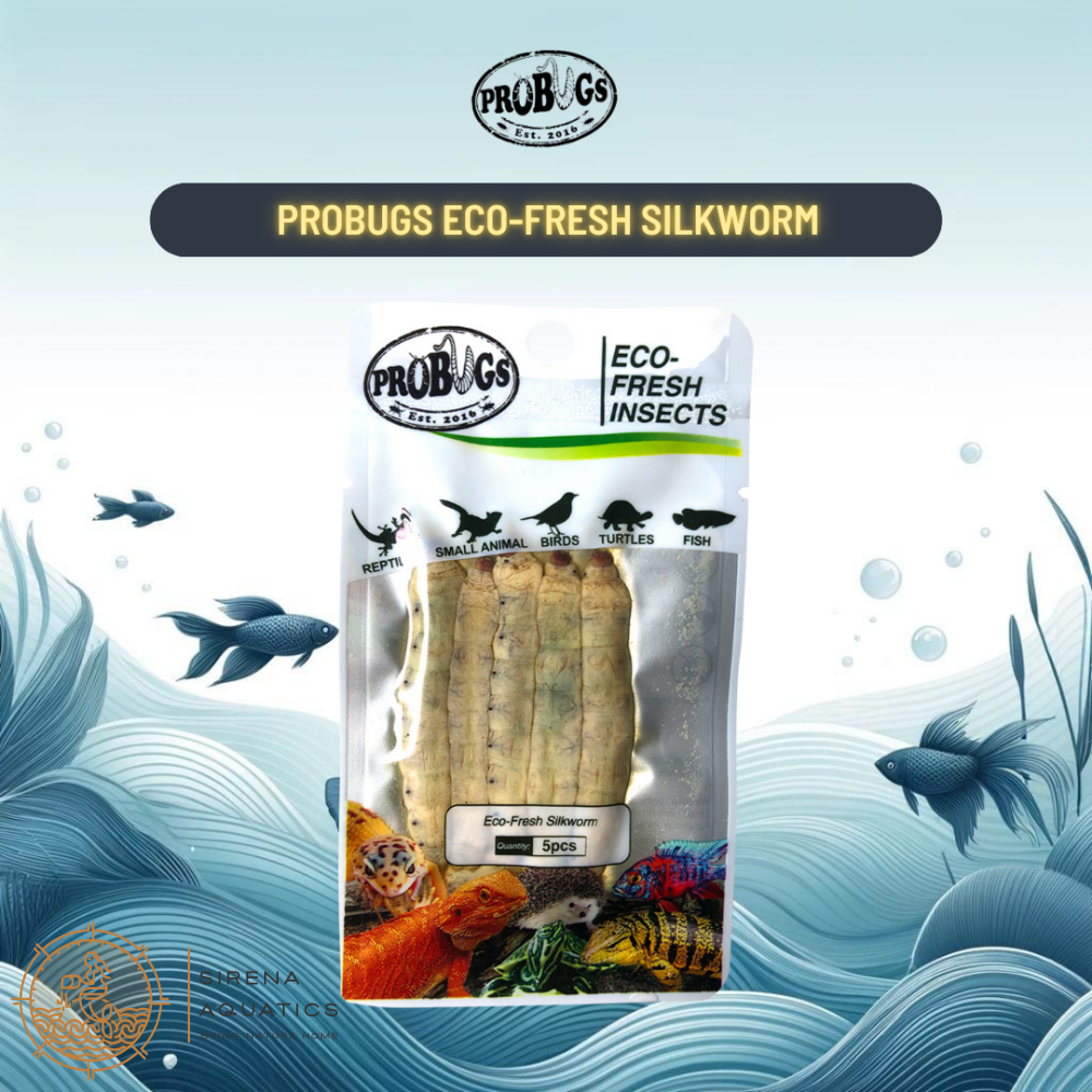 Probugs Silkworms (5Pcs) - Nutritious Eco-Fresh Food For Reptiles & Fish Bacteria-Free Treat!