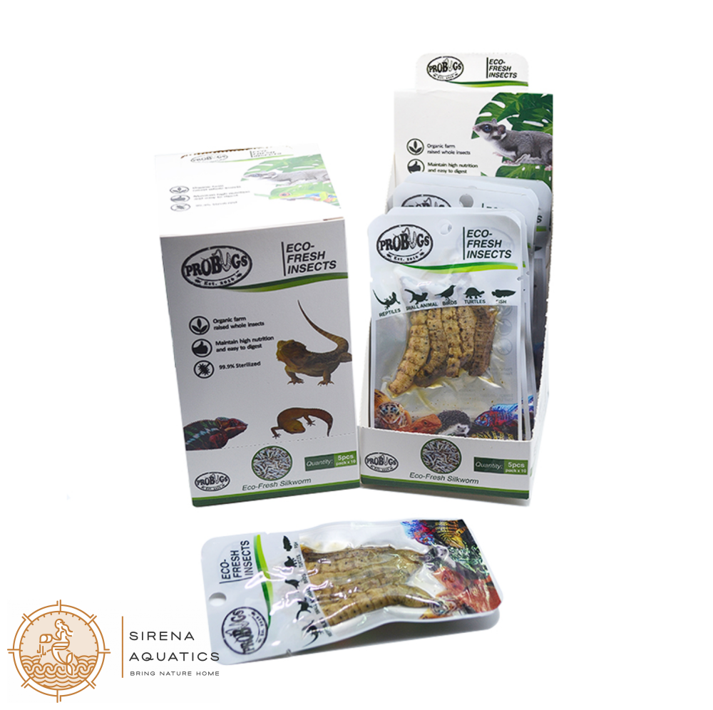Probugs Silkworms (5Pcs) - Nutritious Eco-Fresh Food For Reptiles & Fish Bacteria-Free Treat!