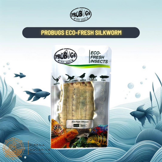 Probugs Silkworms (5Pcs) - Nutritious Eco-Fresh Food For Reptiles & Fish Bacteria-Free Treat!