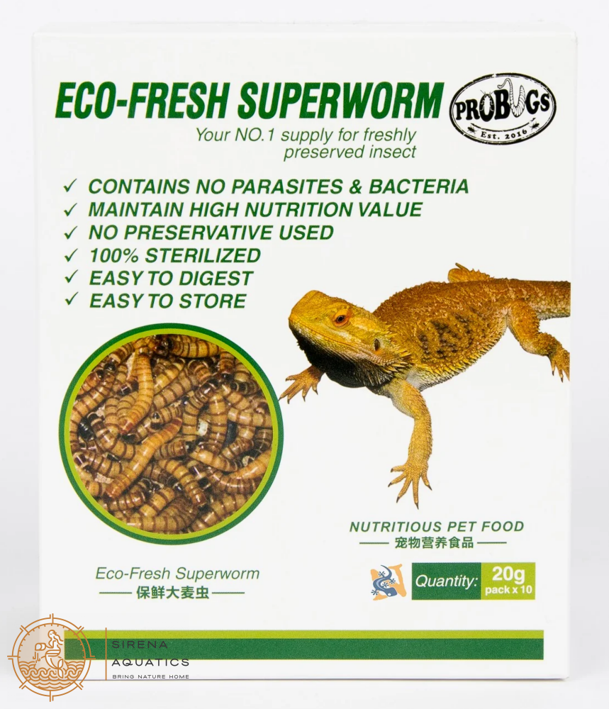 Probugs Superworms (20G) - Nutritious Snack For Reptiles Birds & Fish | High Protein Fresh! Food