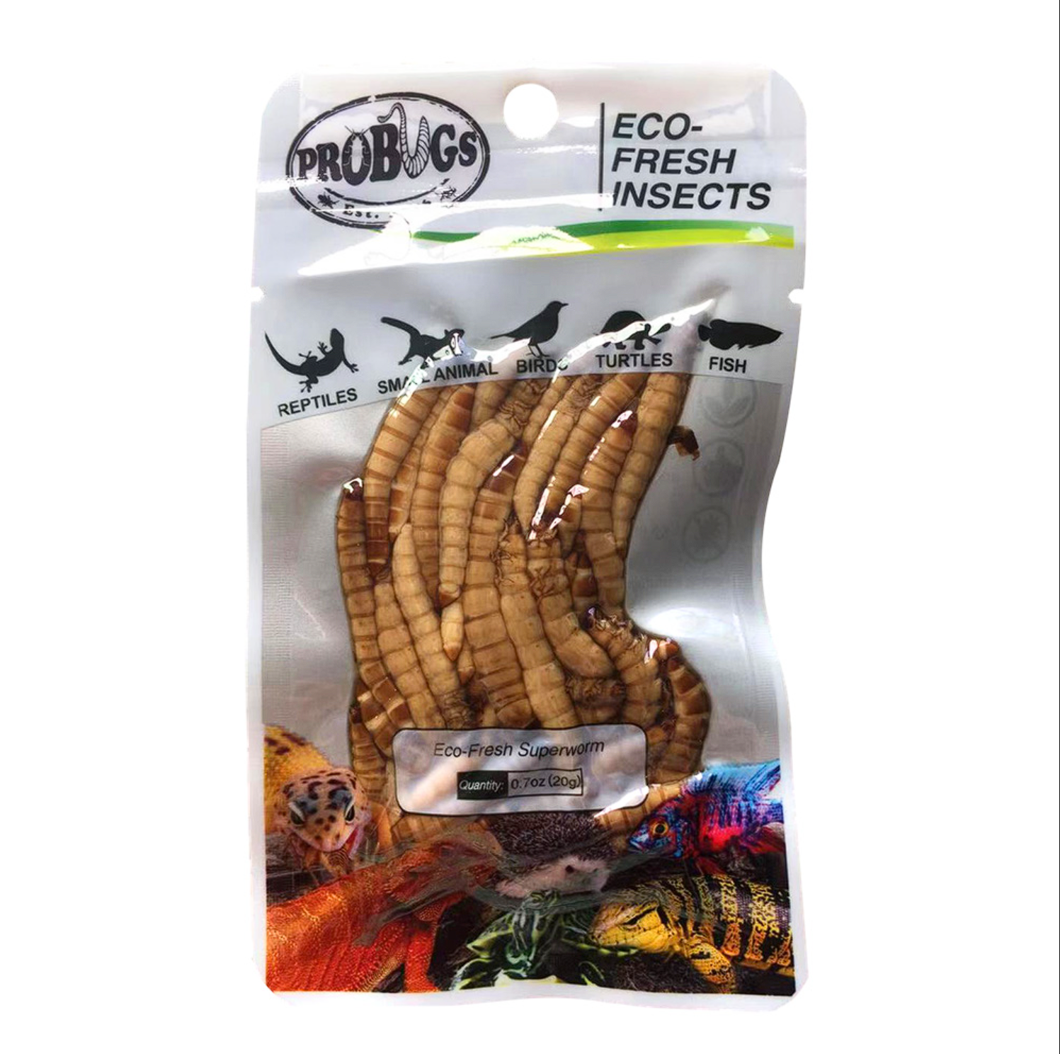 Probugs Superworms (20G) - Nutritious Snack For Reptiles Birds & Fish | High Protein Fresh! Food