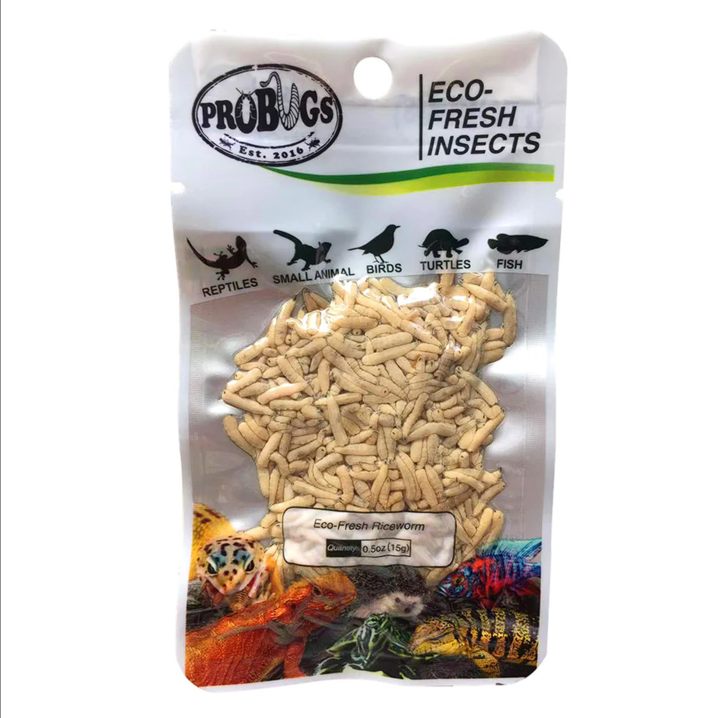 Probugs Riceworms (15G) - Nutritious Treat For Betta Fish & Reptiles All-Natural Fresh! Food