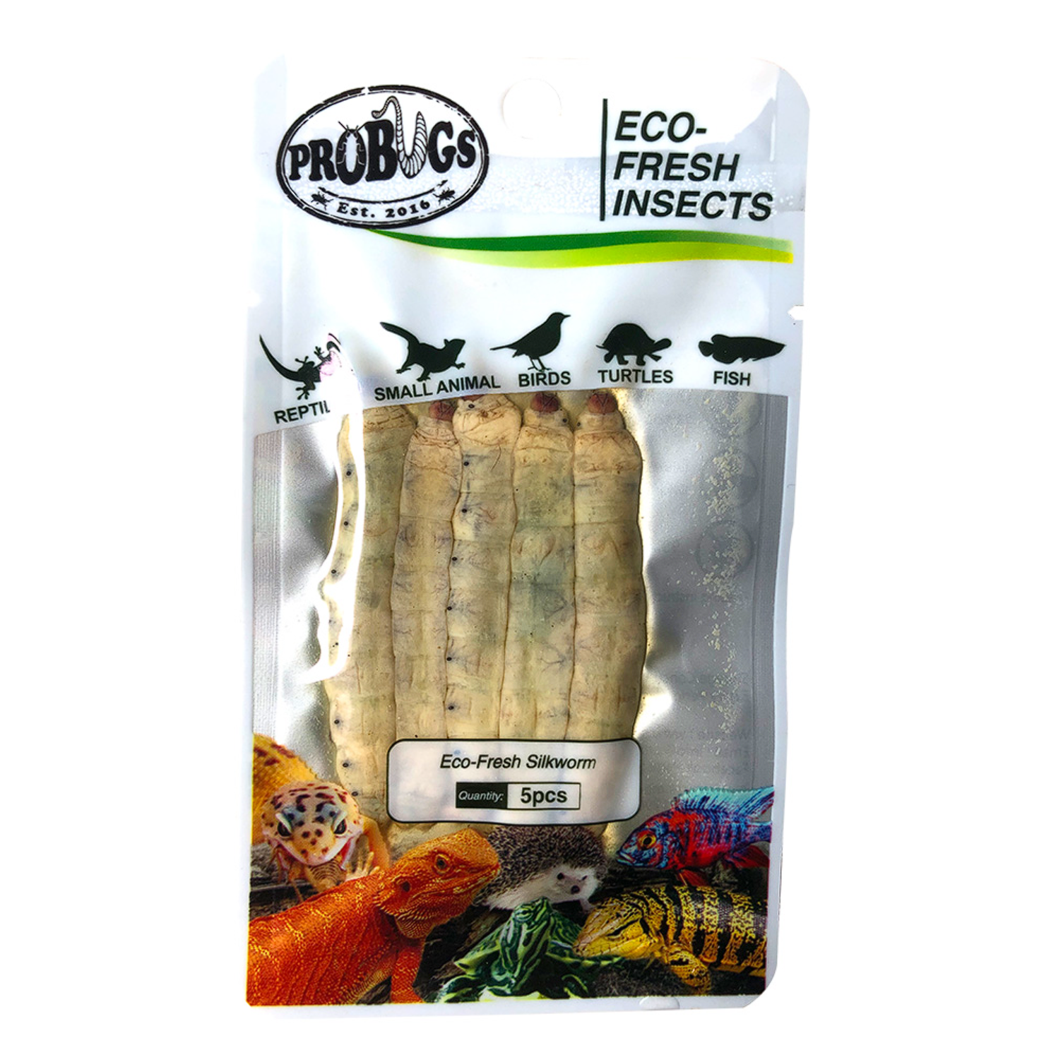 Probugs Silkworms (5Pcs) - Nutritious Eco-Fresh Food For Reptiles & Fish Bacteria-Free Treat!
