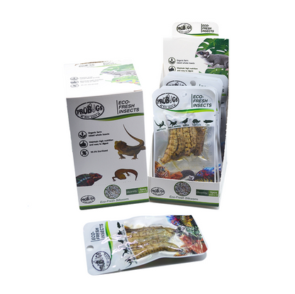 Probugs Silkworms (5Pcs) - Nutritious Eco-Fresh Food For Reptiles & Fish Bacteria-Free Treat!