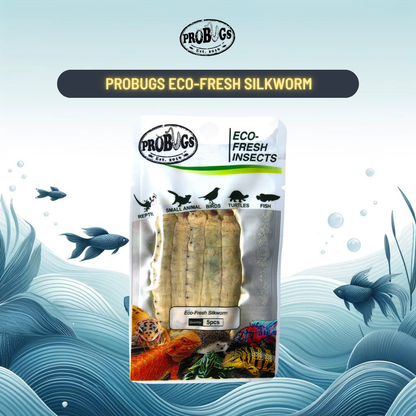 Probugs Silkworms (5Pcs) - Nutritious Eco-Fresh Food For Reptiles & Fish Bacteria-Free Treat!
