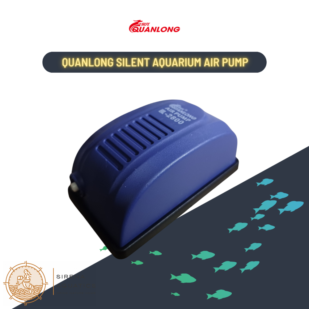 Quanlong Silent Air Pump - Energy Efficient Low Noise Long Lifespan Large Oxygen Output For All