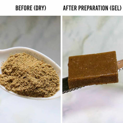 Repashy Bottom Scratcher Fish Food Gel Mix Powder (85G)