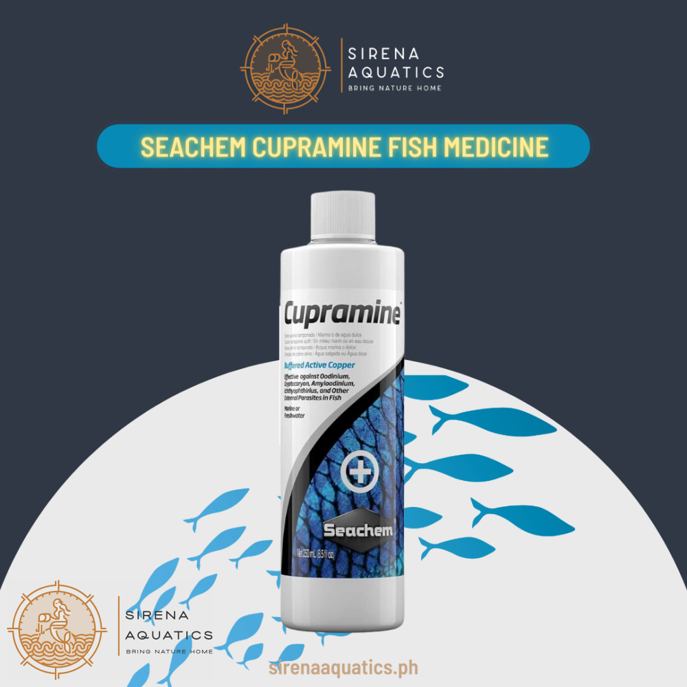 Seachem Cupramine Fish Medication For Ich And Parasites (100Ml) Aquarium Water Treatments