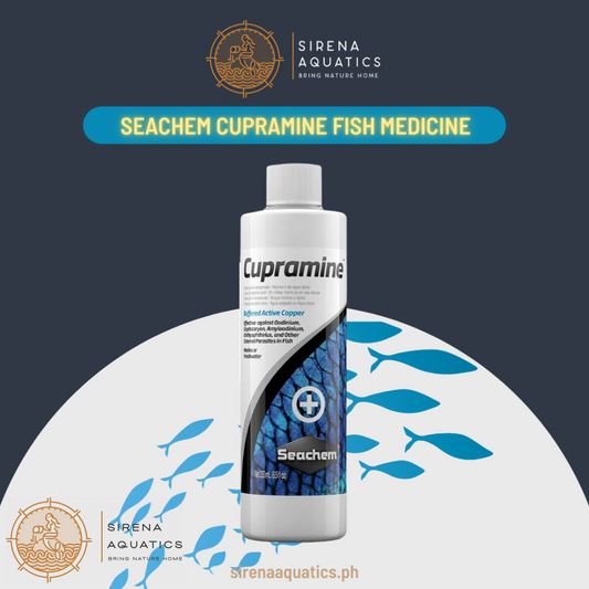 Seachem Cupramine Fish Medication For Ich And Parasites (100Ml) Aquarium Water Treatments