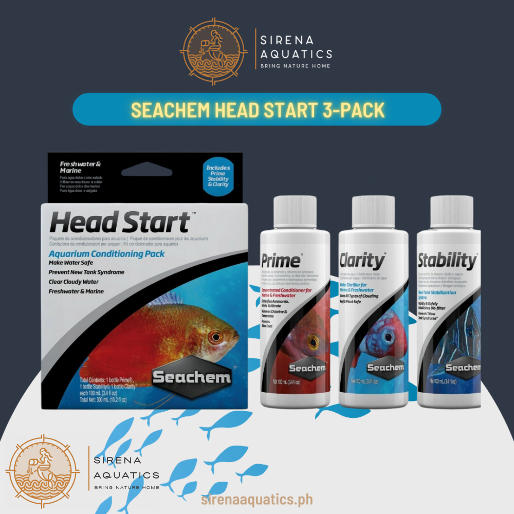 Seachem Head Start Pack: Comprehensive Aquarium Conditioning Trio For New Setups Water Additives