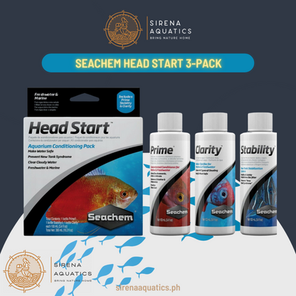 Seachem Head Start Pack: Comprehensive Aquarium Conditioning Trio For New Setups Water Additives