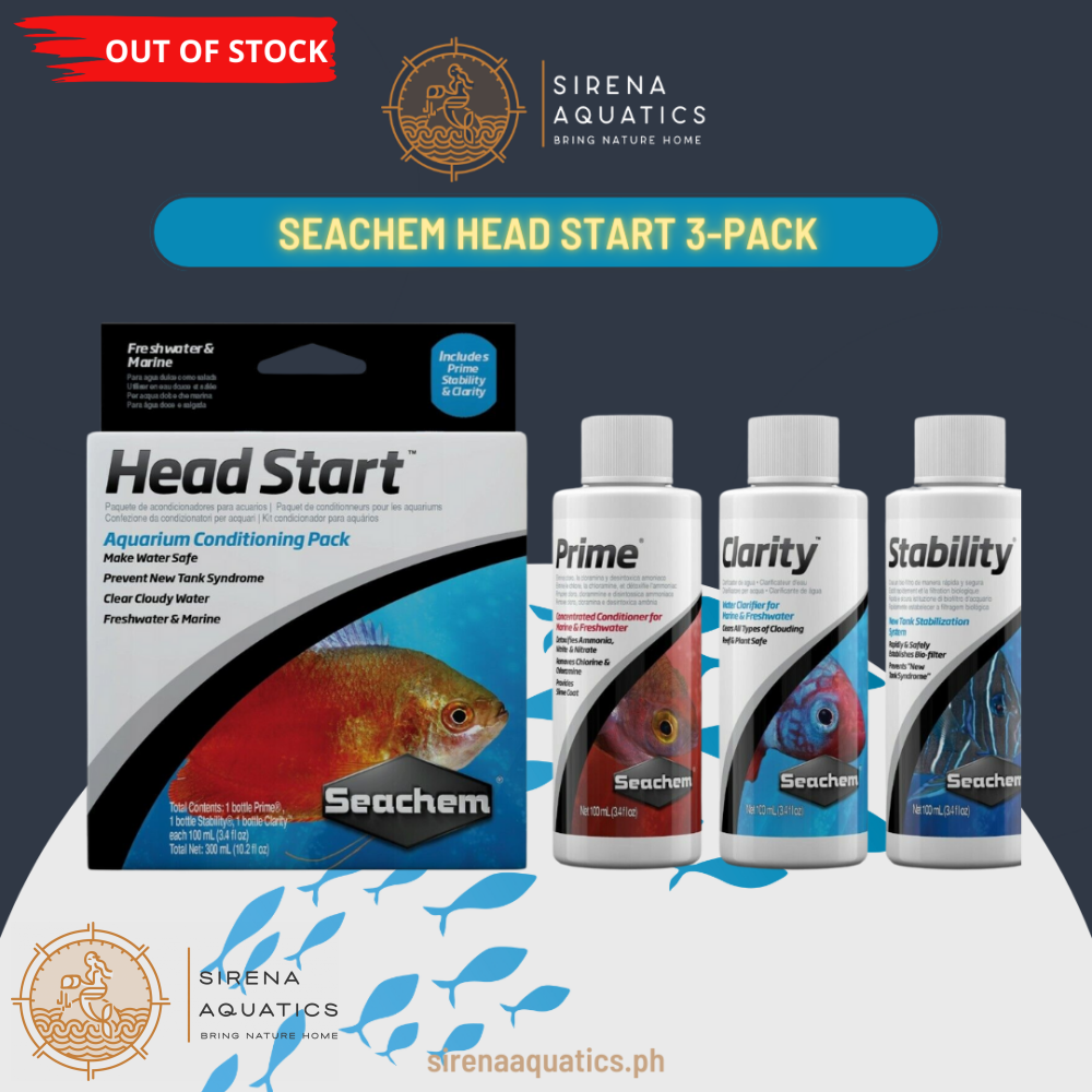 Seachem Head Start Pack: Comprehensive Aquarium Conditioning Trio For New Setups Water Additives