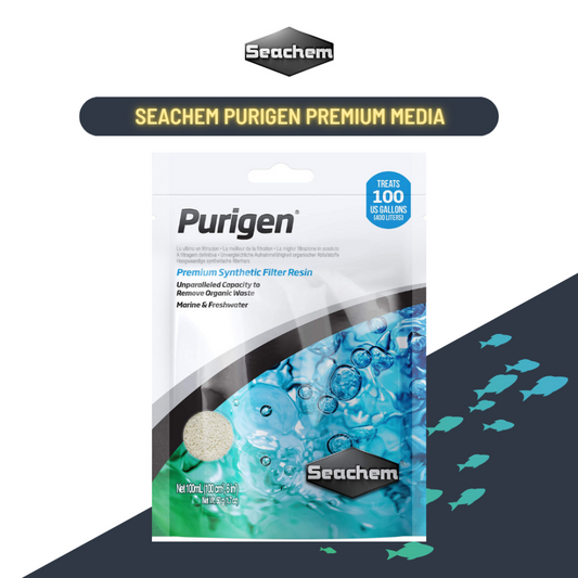 Seachem Purigen (100Ml) - Premium Filtration For Crystal-Clear Aquarium Water Treatments