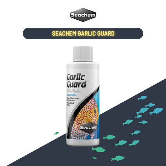 Seachem Garlic Guard (100Ml) - All-Natural Appetite Enhancer For Freshwater & Saltwater Fish! Water