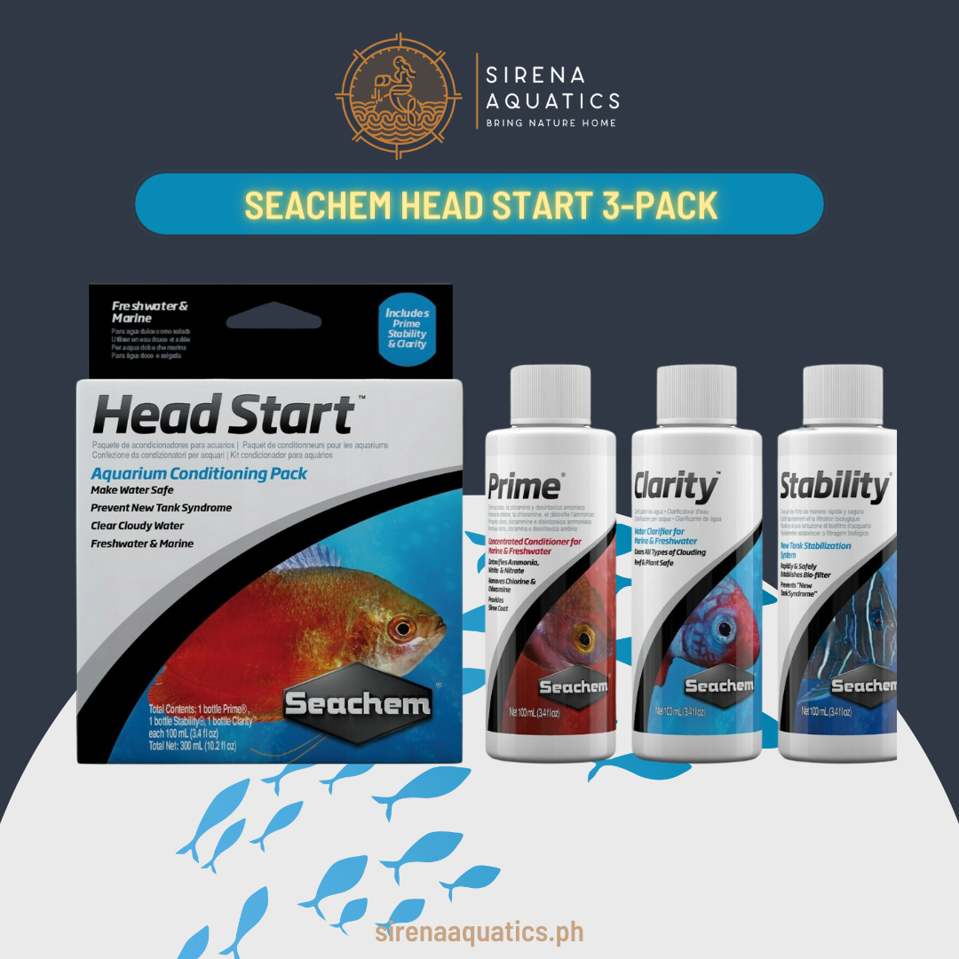 Seachem Head Start Pack: Comprehensive Aquarium Conditioning Trio For New Setups Water Additives