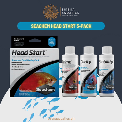 Seachem Head Start Pack: Comprehensive Aquarium Conditioning Trio For New Setups Water Additives
