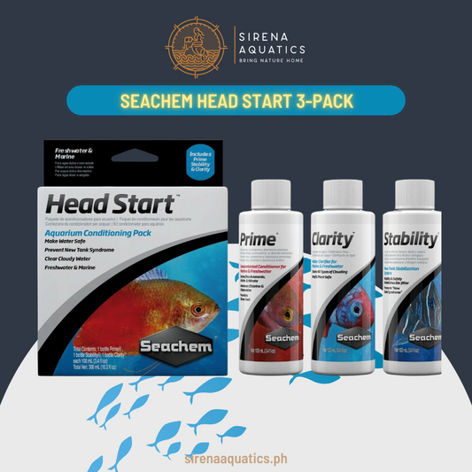 Seachem Head Start Pack: Comprehensive Aquarium Conditioning Trio For New Setups Water Additives