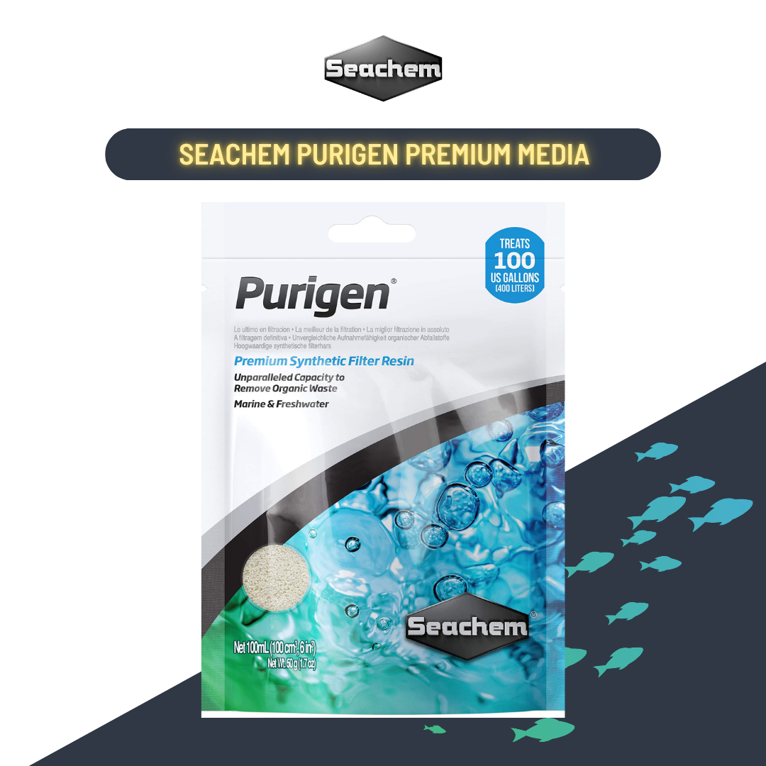 Seachem Purigen (100Ml) - Premium Filtration For Crystal-Clear Aquarium Water Treatments