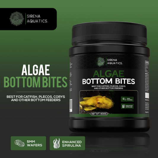 Sirena Aquatics Algae Bottom Bites For Bottom Dwelling Aquarium Fish 600g Fish Food