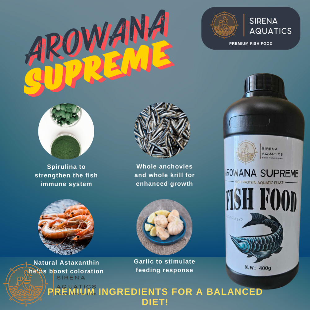 Sirena Aquatics Arowana Supreme 400G - Floating Sticks High Protein Food For Superior Growth Fish