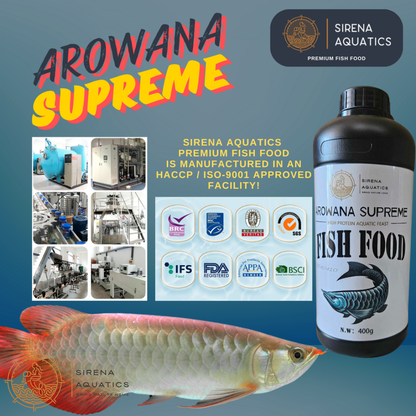 Sirena Aquatics Arowana Supreme 400G - Floating Sticks High Protein Food For Superior Growth Fish