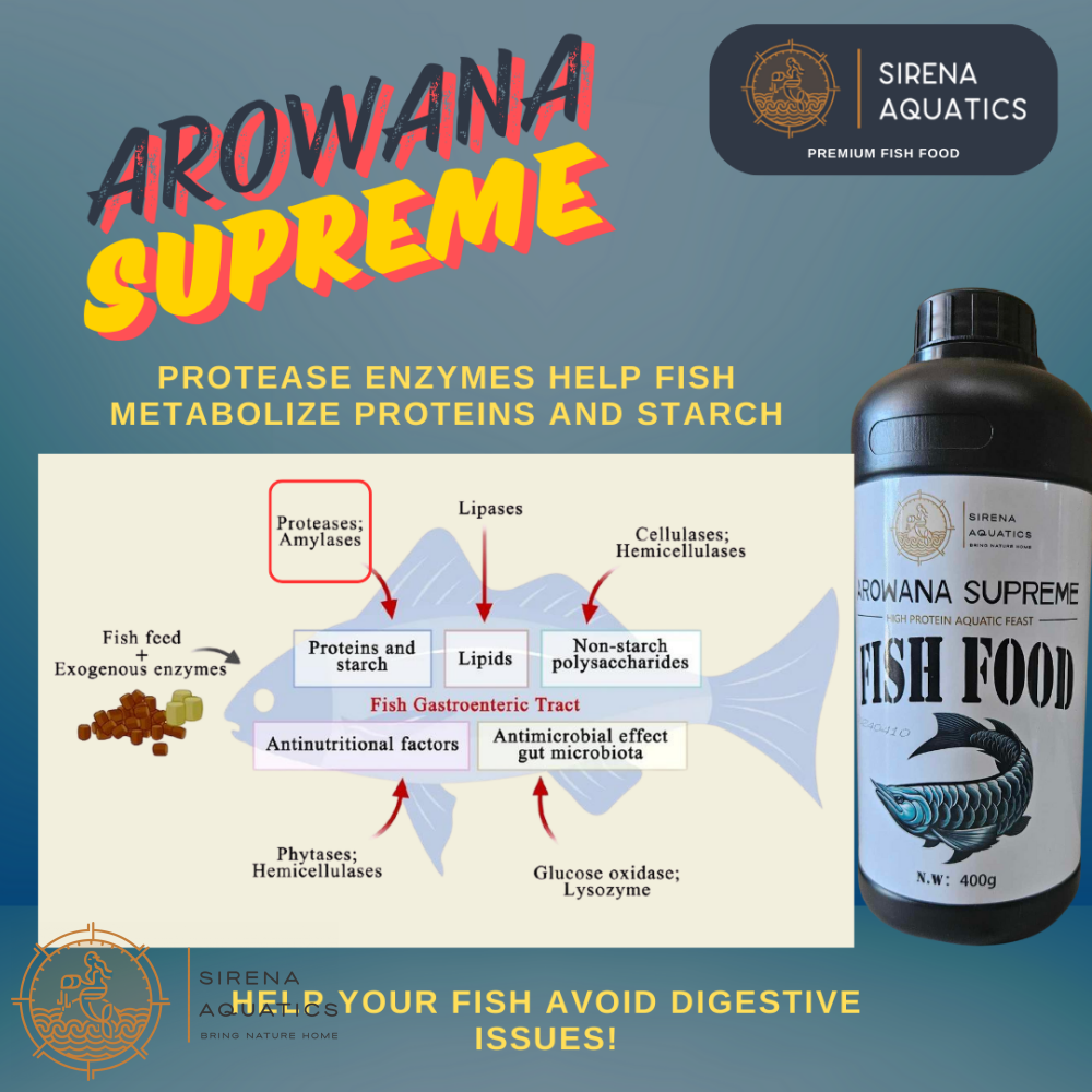 Sirena Aquatics Arowana Supreme 400G - Floating Sticks High Protein Food For Superior Growth Fish