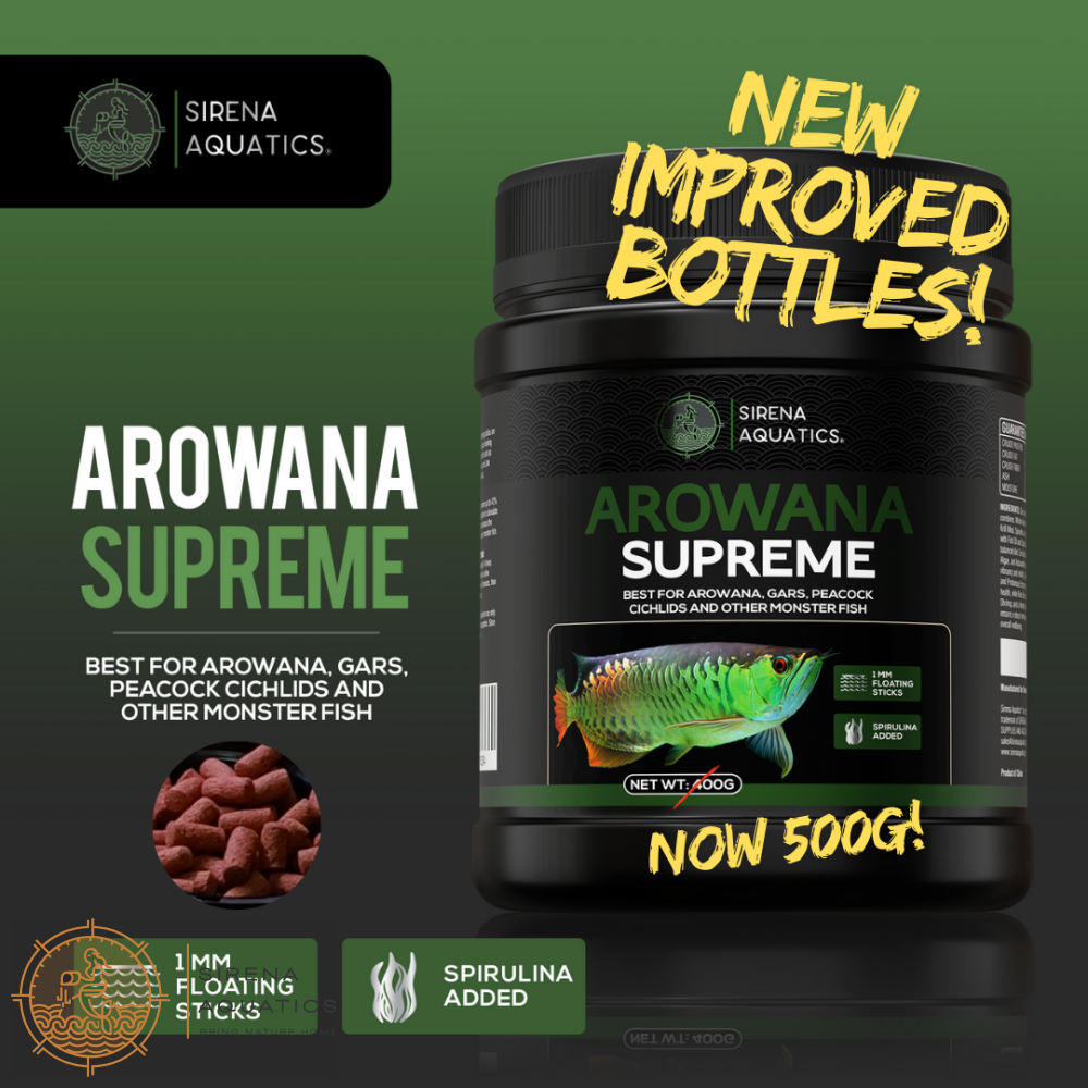 Sirena Aquatics Arowana Supreme 500g - Floating Sticks High Protein Food for Superior Growth 500g Fish Food