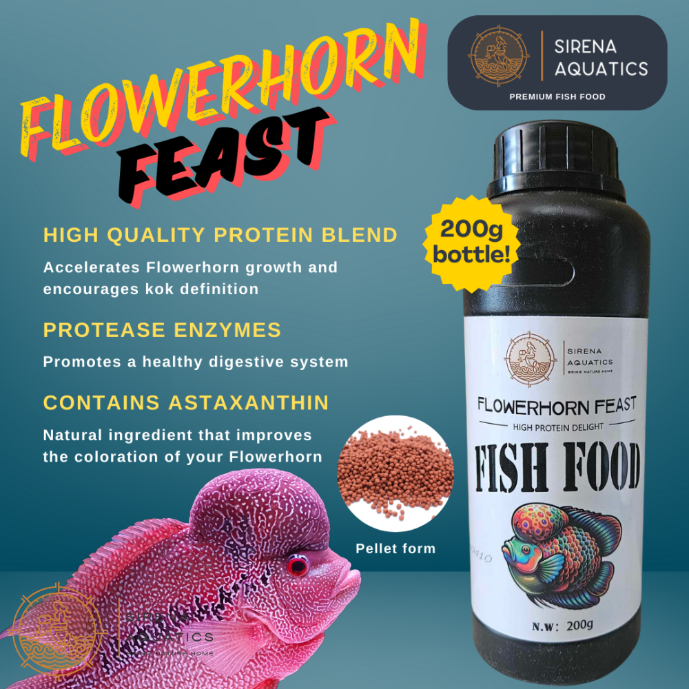 Sirena Aquatics Flowerhorn Feast Premium Fish Food - With Protease Enzymes And Asthaxanthin