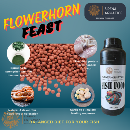 Sirena Aquatics Flowerhorn Feast Premium Fish Food - With Protease Enzymes And Asthaxanthin