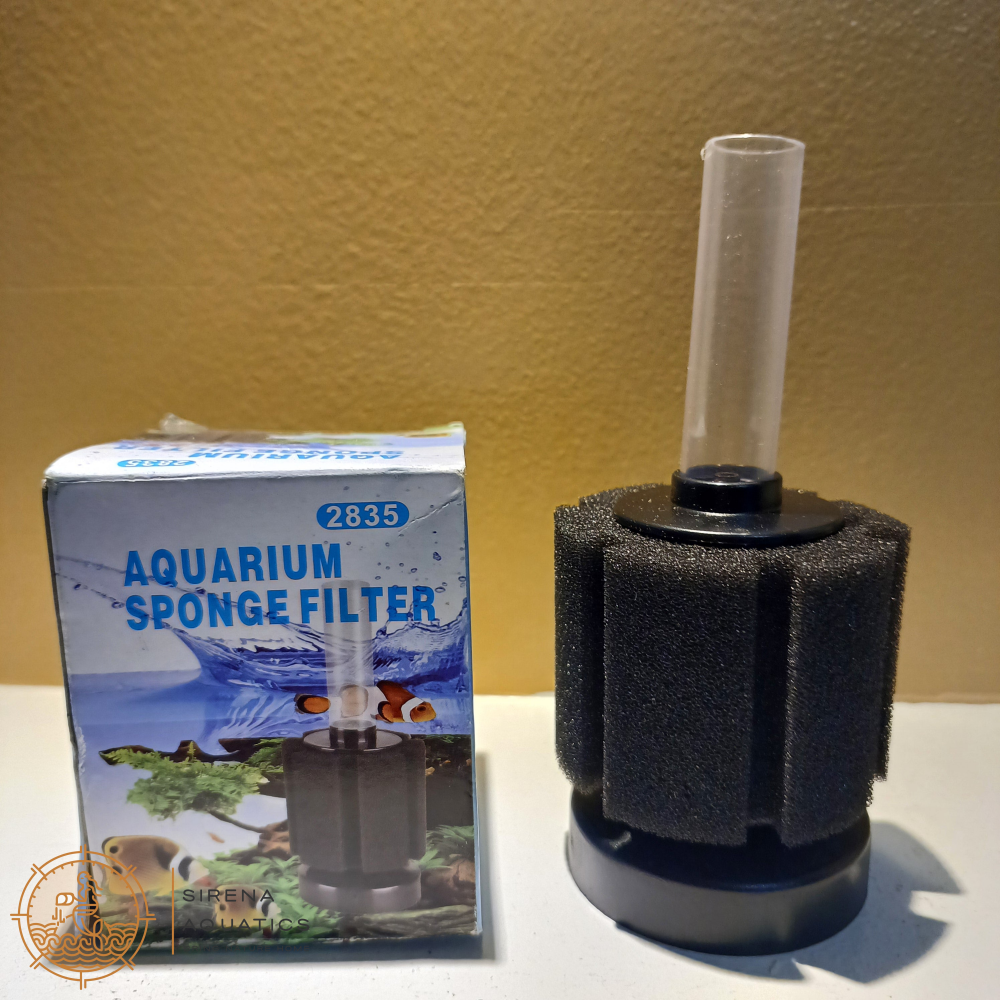 Sponge Filter Xy - 2835 Filters And Media