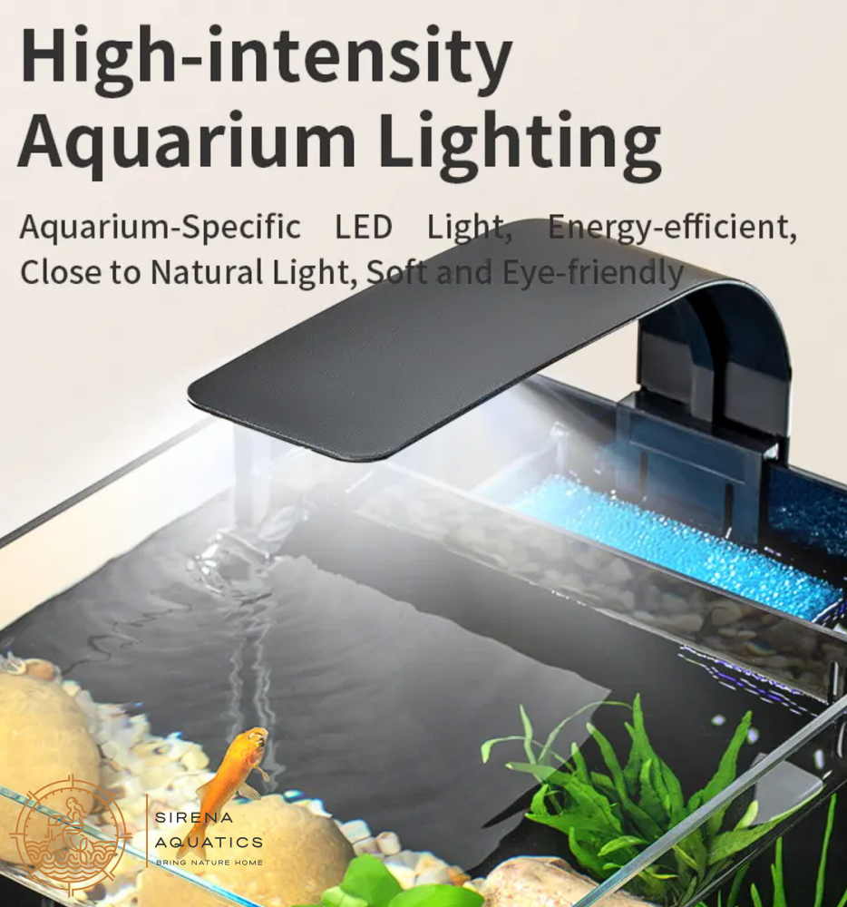 Yee All-In-One Desktop Aquarium: Stylish Nano Tank With Led Light & Back Filter For Fish Lovers