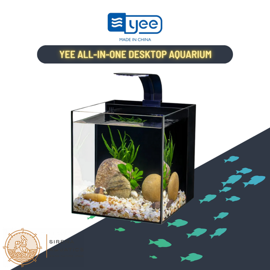 Yee All-In-One Desktop Aquarium: Stylish Nano Tank With Led Light & Back Filter For Fish Lovers