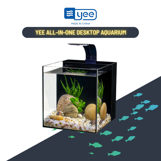 Yee All-In-One Desktop Aquarium: Stylish Nano Tank With Led Light & Back Filter For Fish Lovers