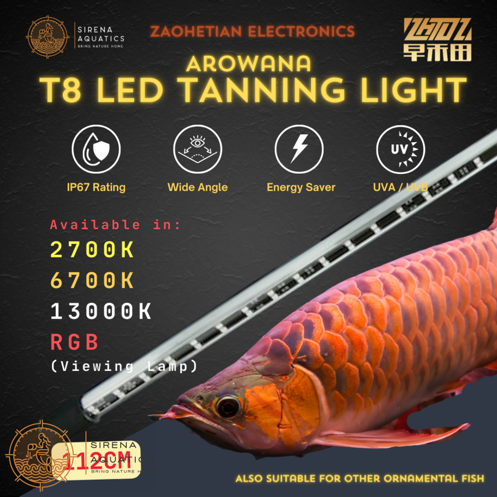 Zaohetian Arowana Tanning Light Led Lamp T8 With Uva/Uvb - 45W Wide Angle Ip67 Rating Aquarium